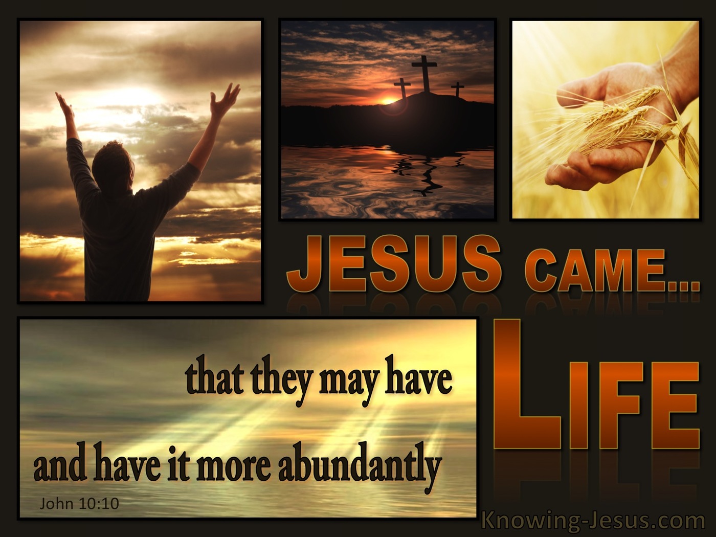 John 10:10 Life More Abundantly (brown)